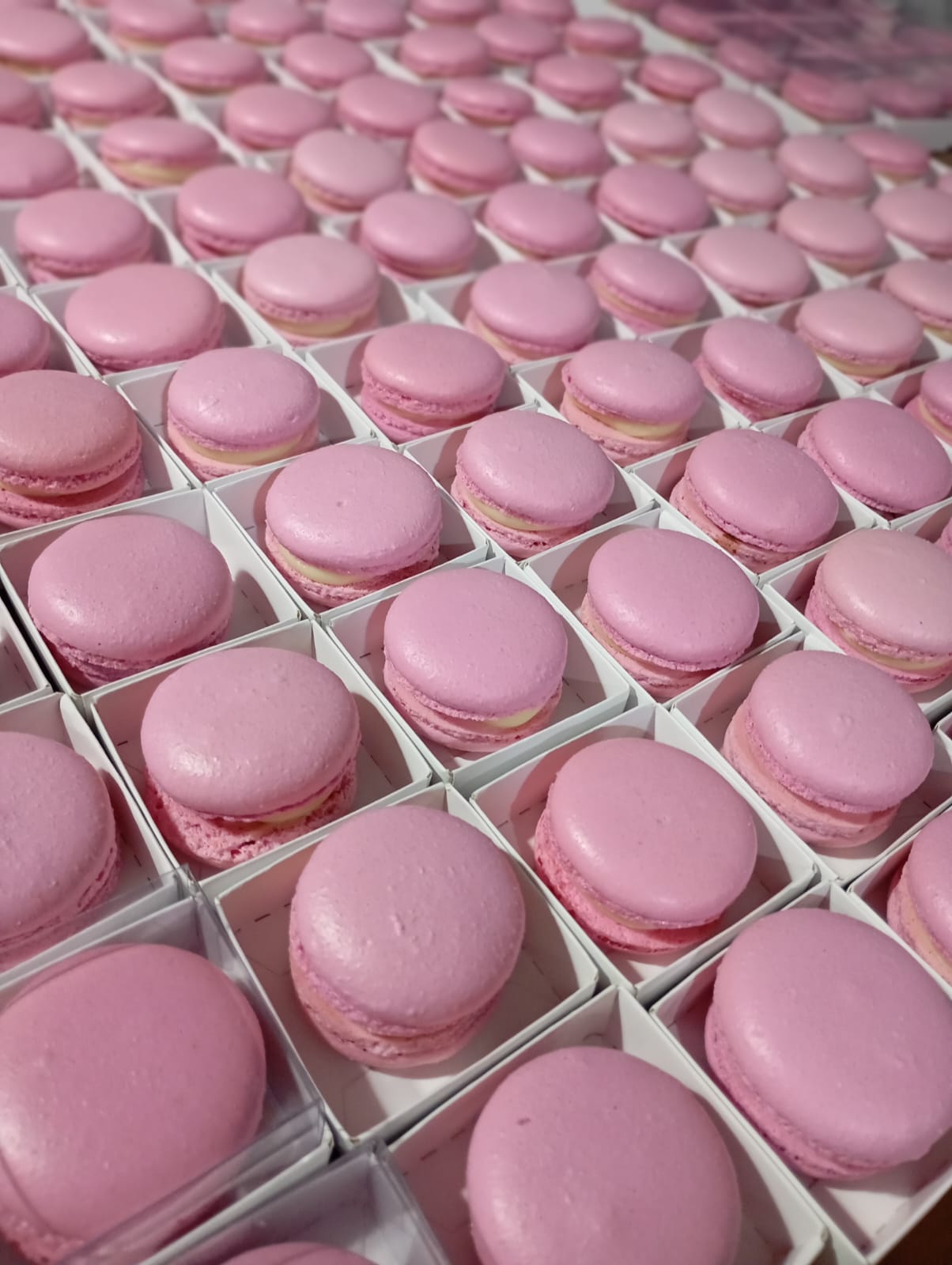Macarons artesanais